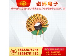 磁環(huán)電感19